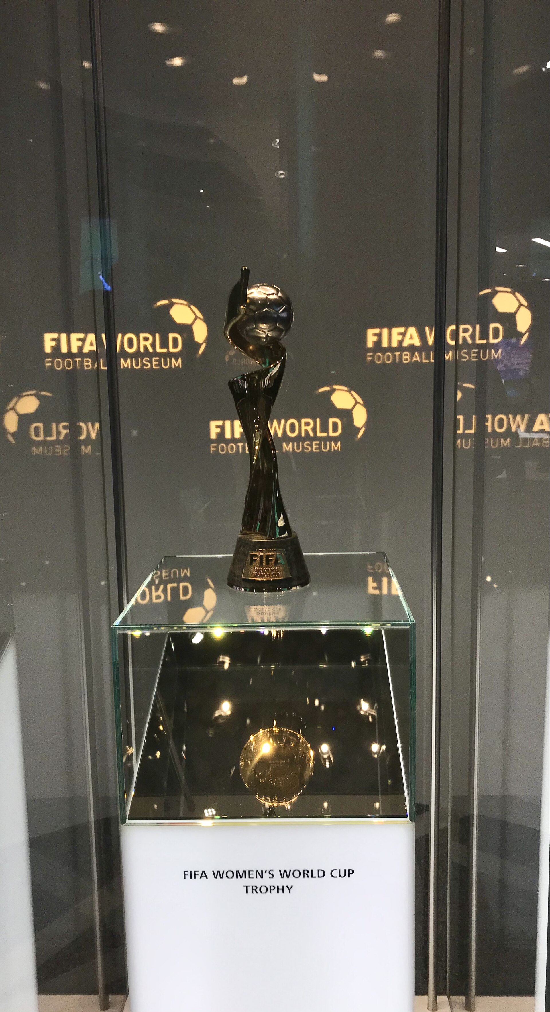世界杯一夜成名！佛得角门将粉丝数暴涨至707万，超越NBA球星文班